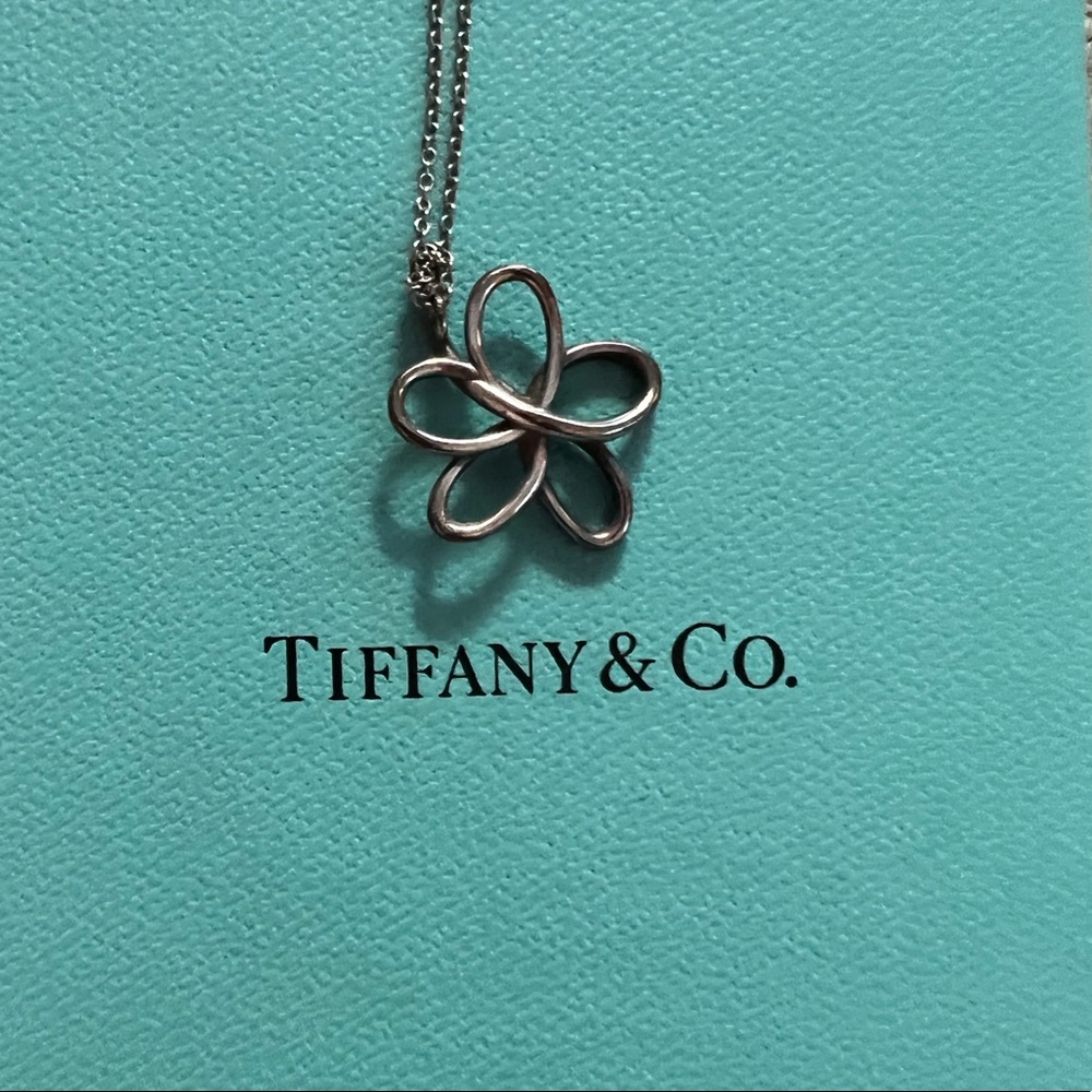 Tiffany & Co. Necklace